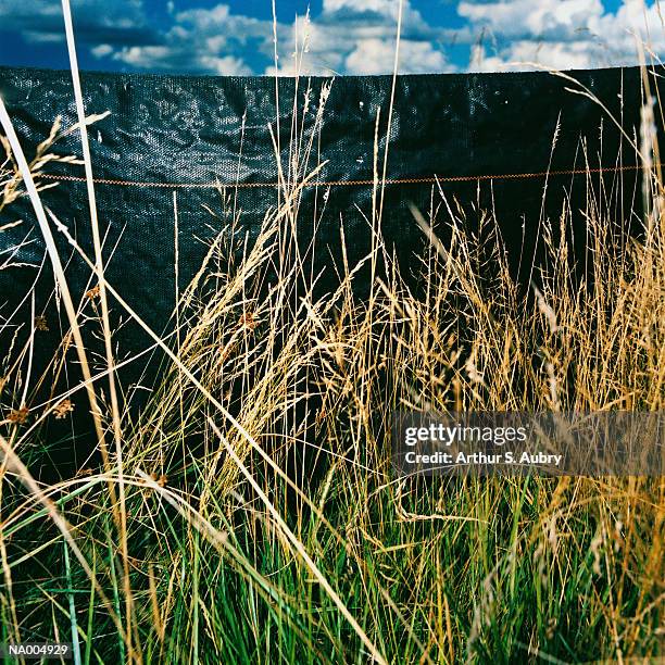 drainage barrier with grasses - barrier imagens e fotografias de stock