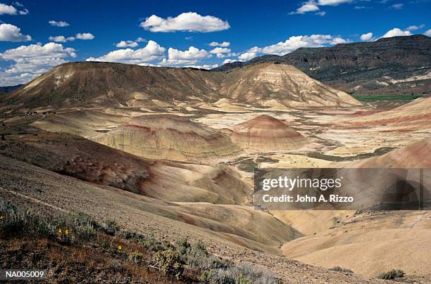 john day fossil beds - fossil site stock pictures, royalty-free photos & images