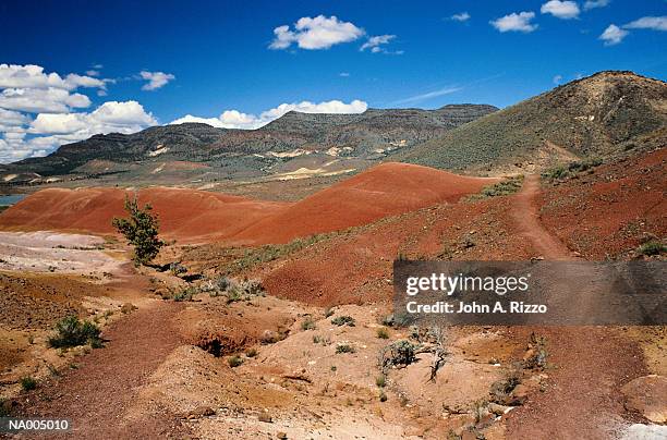 john day fossil beds - letto fossile foto e immagini stock