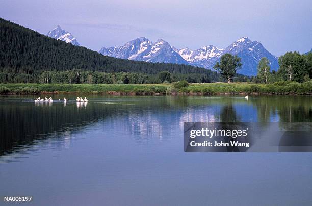 oxbow bend - oxbow bend stock-fotos und bilder