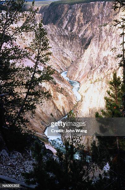 artist point - yellowstone, wyoming - the weinstein company hosts special screening of the artist stockfoto's en -beelden