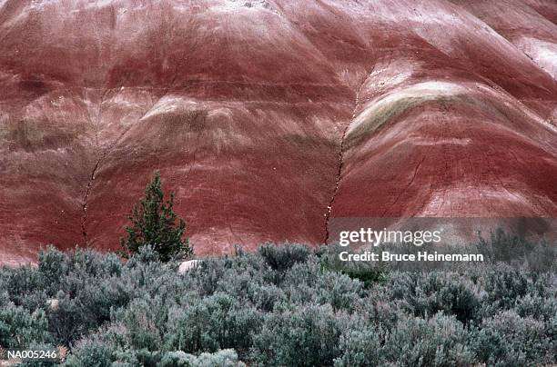 painted hills - oregon - yacimiento fósil fotografías e imágenes de stock