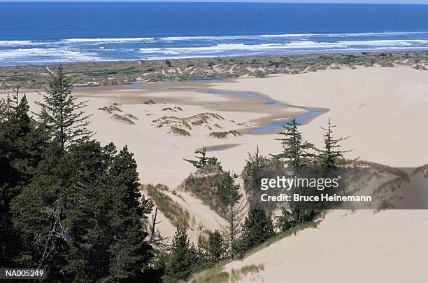 oregon dunes recreational area - oregon - national recreation area stock-fotos und bilder