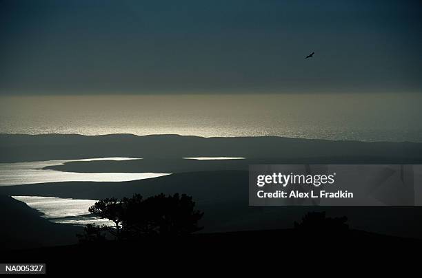 usa, california, point reyes reyes peninsula, drakes estero - estero stock pictures, royalty-free photos & images