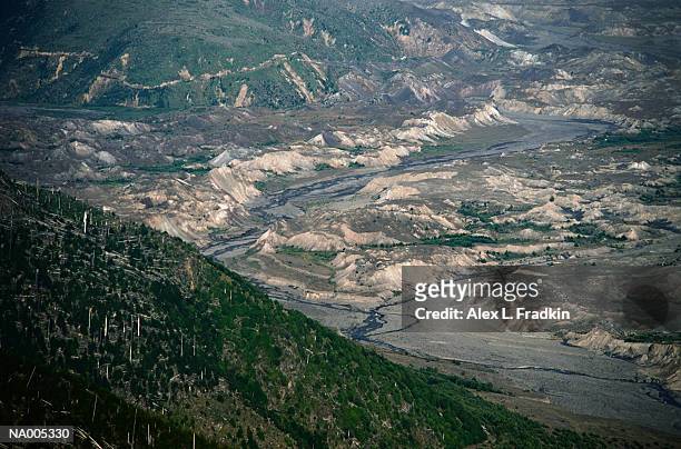 usa, washington, mount st helens, new growth and aftermath of eruption - piper perabo or maria sharapova or nastia liukin or daniella monet or erin sanders or ash stock pictures, royalty-free photos & images