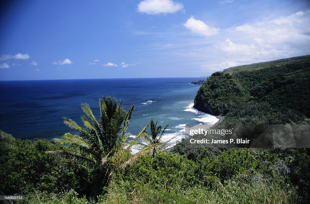 Hawaiian Coast