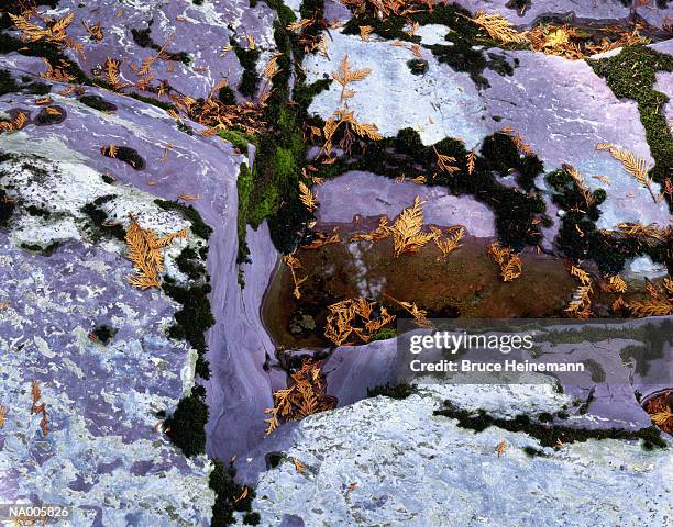 629 Bumps River Stock Photos, High-Res Pictures, and Images - Getty Images