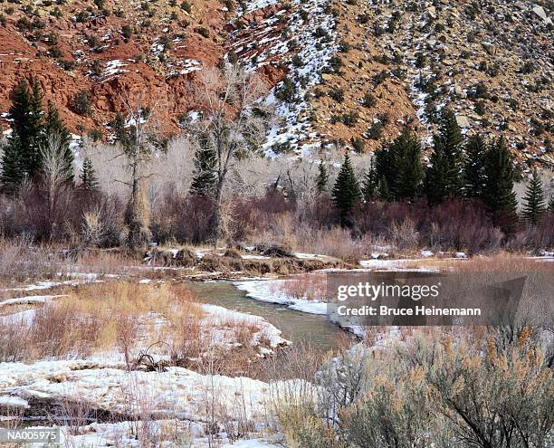 flaming gorge, utah - national recreation area stock-fotos und bilder