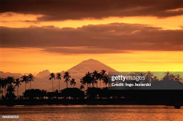 mountain and palm trees silhouetted by the sunset - sunda isles bildbanksfoton och bilder