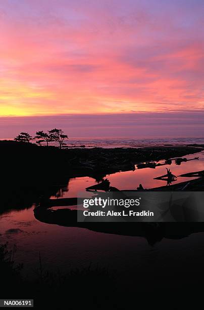 usa, washington state, olympic peninsula, sunset - usa fotografías e imágenes de stock