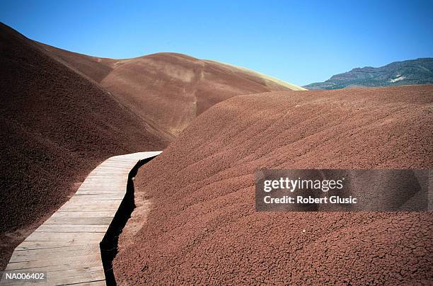 boardwalk through dunes - letto fossile foto e immagini stock