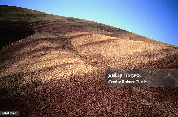 sandy hills - fossil site stockfoto's en -beelden