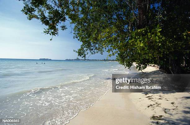 tropical beach - greater antilles stock-fotos und bilder