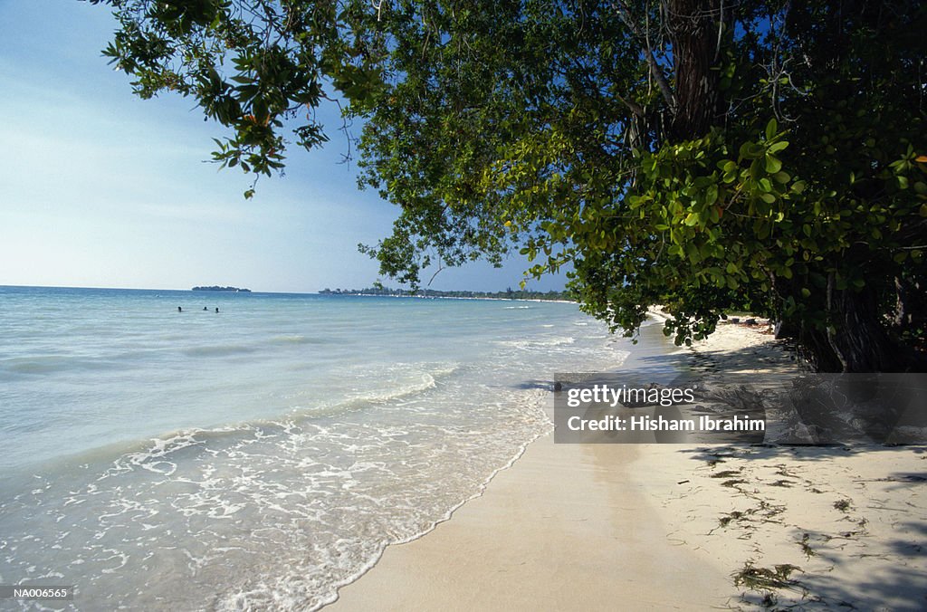 Tropical Beach