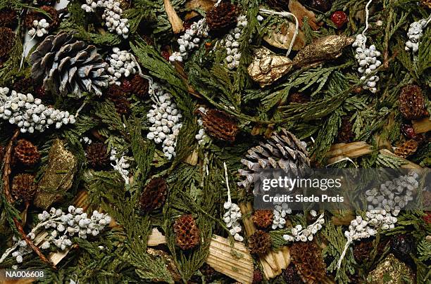 holiday pine cones - conifer cone stock pictures, royalty-free photos & images