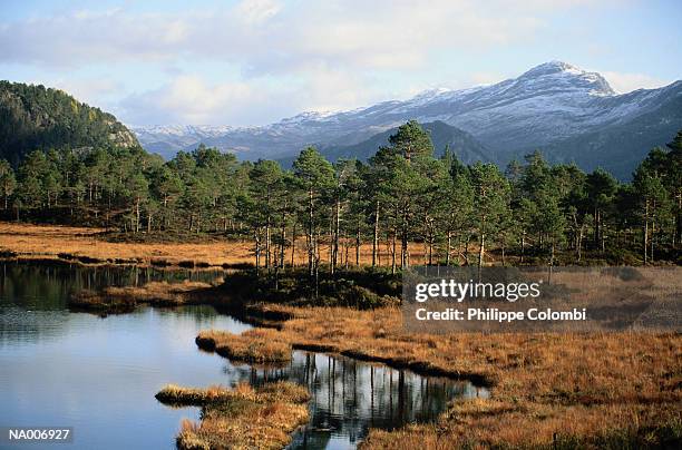 norwegian landscape - hordaland county stock pictures, royalty-free photos & images