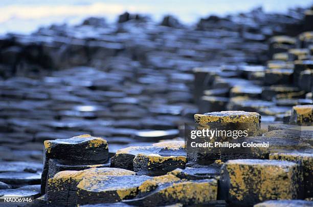Water Rounded Basalt Basalt Close Up Photos and Premium High Res Pictures - Getty Images