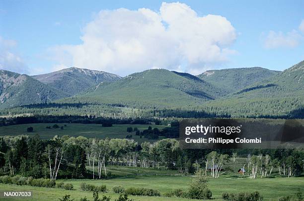 british columbia landscape - british columbia 個照片及圖片檔