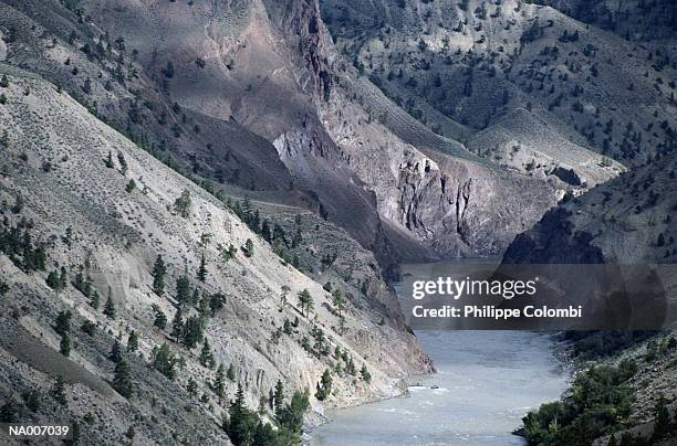 river in british columbia - british columbia 個照片及圖片檔