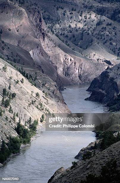 river in british columbia - british columbia 個照片及圖片檔