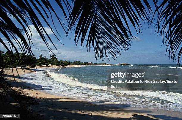 haitian beach - greater antilles fotografías e imágenes de stock