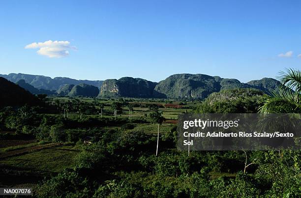 vinales valley - pinar del rio fotografías e imágenes de stock