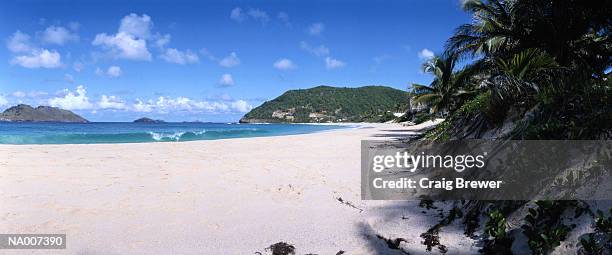 beach in st. barthelemy - lesser antilles foto e immagini stock