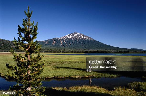 mount bachelor - mt bachelor stock pictures, royalty-free photos & images