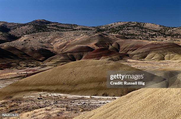 painted hills - letto fossile foto e immagini stock