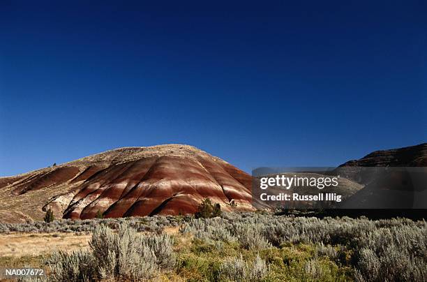 painted hills - yacimiento fósil fotografías e imágenes de stock