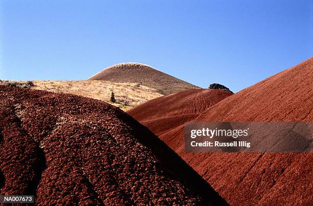 painted hills - fossil site stock pictures, royalty-free photos & images