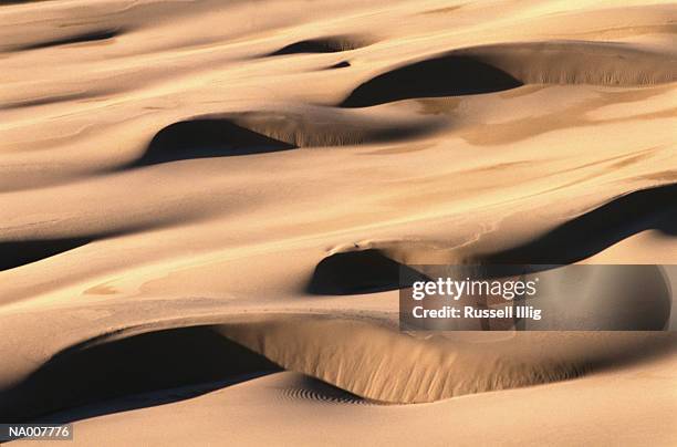 oregon dunes - 国立保養地 ストックフォトと画像