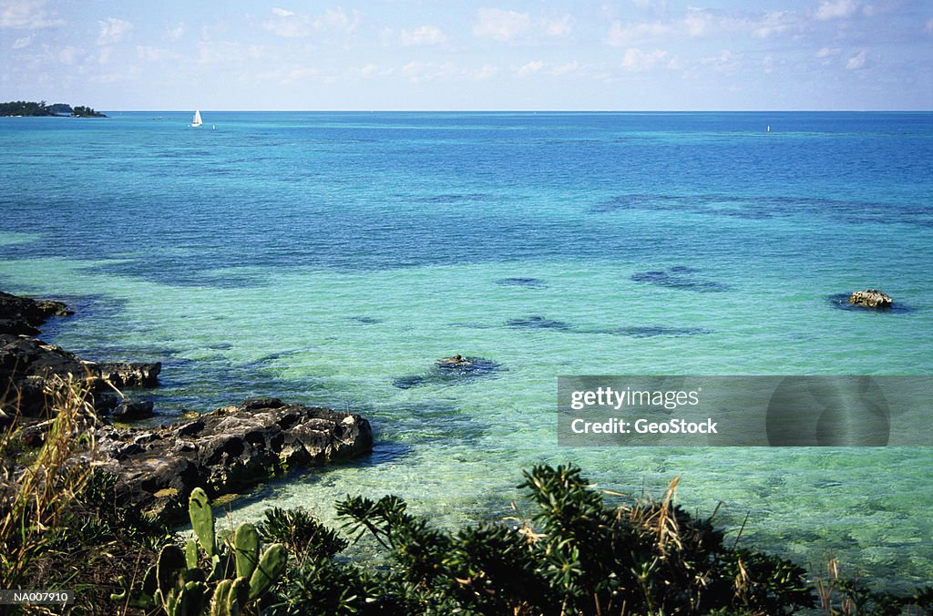 Bermuda Seascape