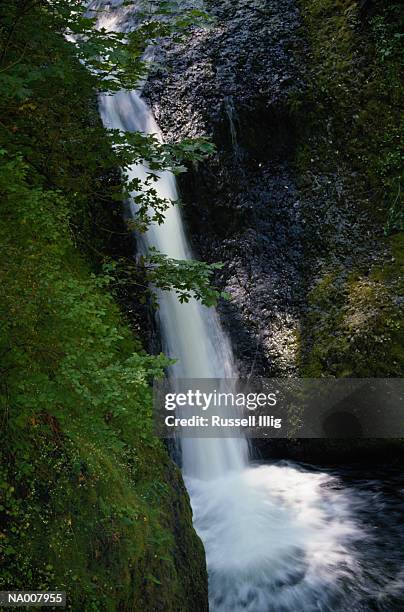 oneonta falls - garganta de oneonta fotografías e imágenes de stock