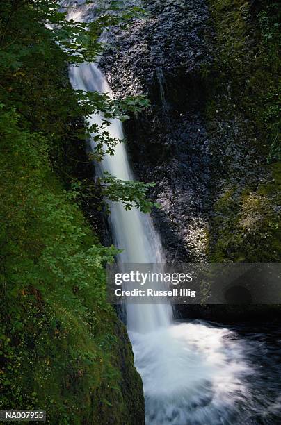 oneonta falls - oneonta gorge stock pictures, royalty-free photos & images
