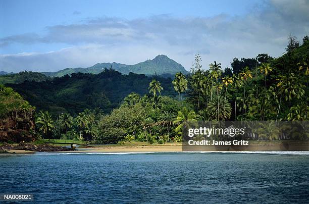 beach in hawaii - kona coast imagens e fotografias de stock