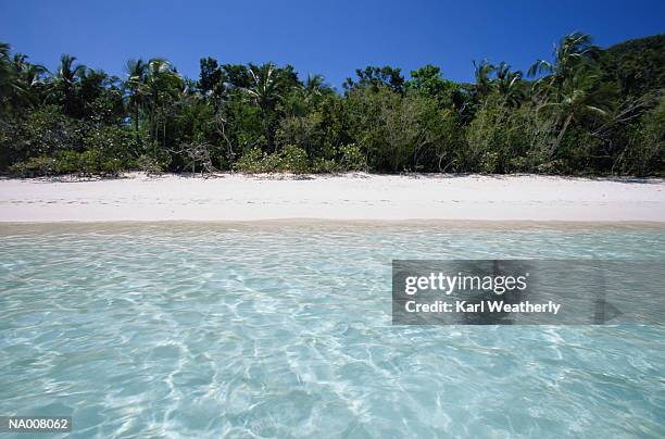 tropical beach - lesser antilles foto e immagini stock