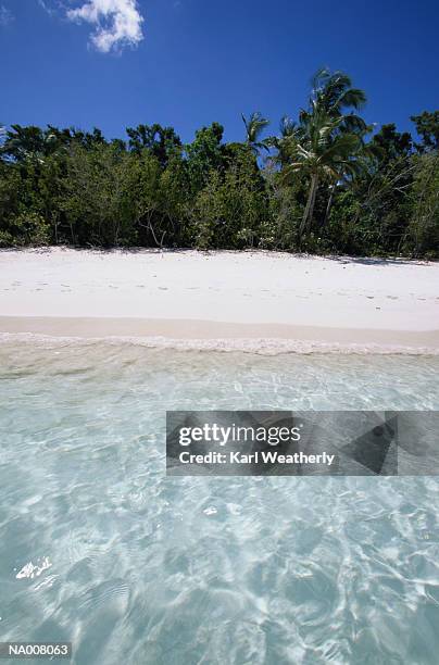 tropical beach - lesser antilles foto e immagini stock