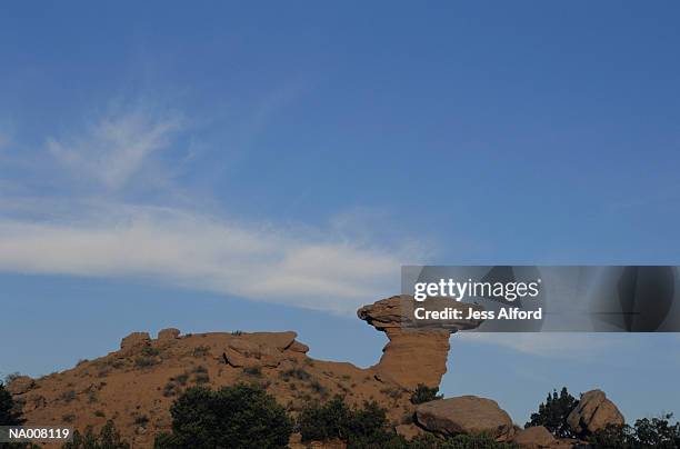 Lamell Rocks Camel Rock Photos and Premium High Res Pictures - Getty Images