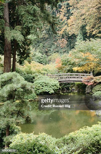 bridge at japanese garden - only japanese ストックフォトと画像