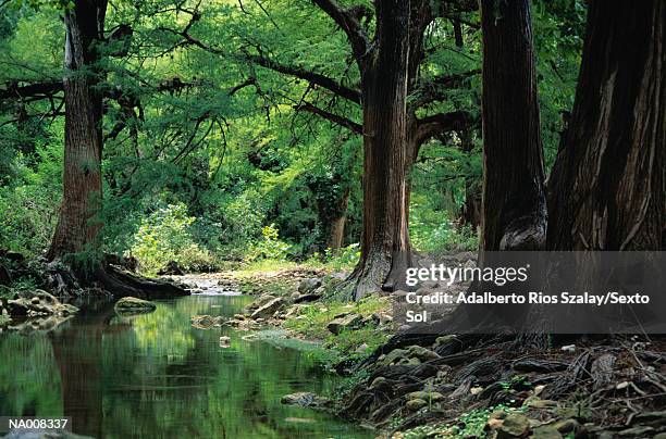 sierra gorda - sierra stock pictures, royalty-free photos & images