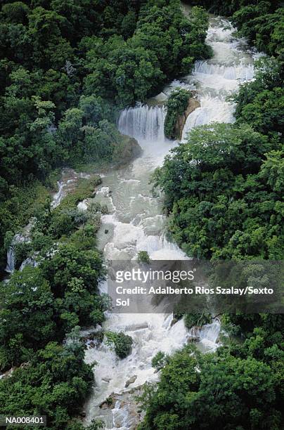 agua azul waterfalls, chiapas - agua azul stock pictures, royalty-free photos & images