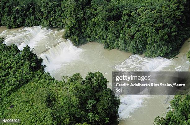 agua azul waterfalls, chiapas - agua azul stock-fotos und bilder