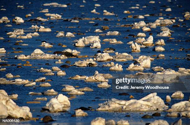 ice on hudson bay - hudson bay stock-fotos und bilder