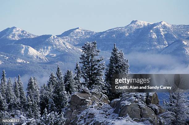 usa, wyoming, yellowstone national park, winter scenic - usa fotografías e imágenes de stock