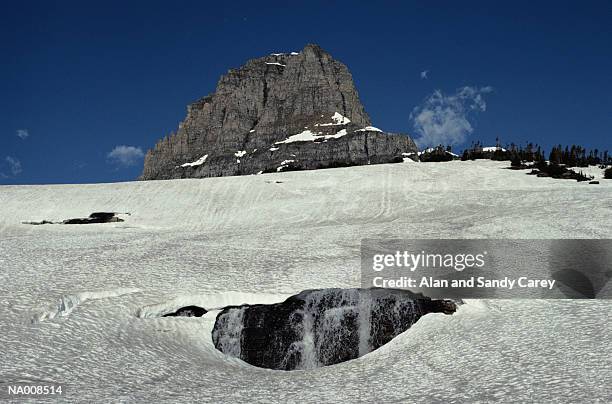 usa, montana, glacier national park, snow field - usa fotografías e imágenes de stock