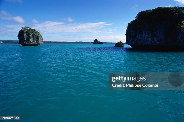 pines island at new caledonia - new caledonia - fotografias e filmes do acervo