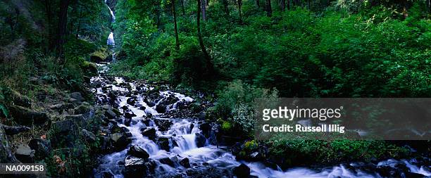wahkeena falls in columbia river gorge - columbia gorge - fotografias e filmes do acervo