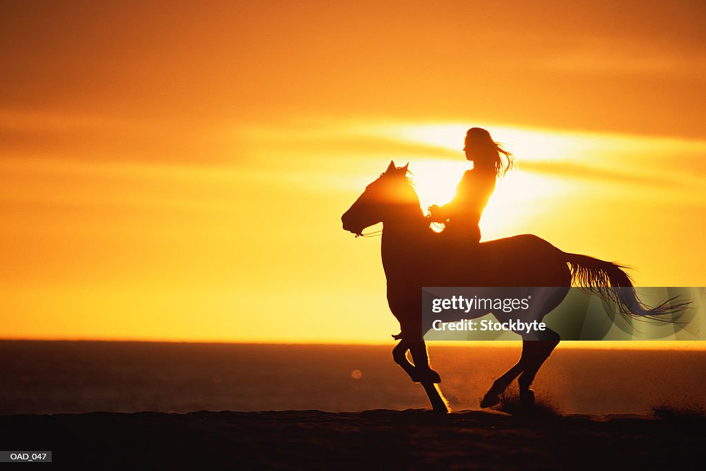 Silhouette of woman riding horse at sunset