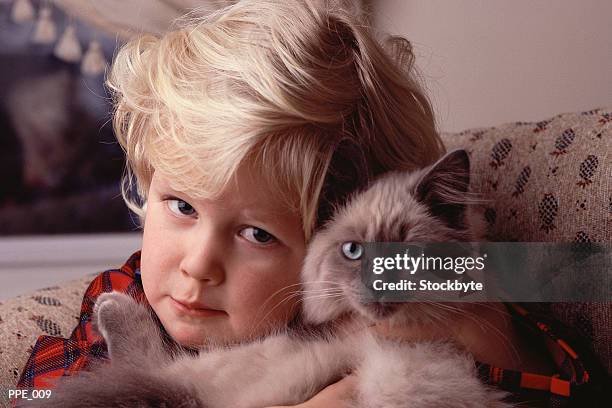 boy sitting in chair, holding cat - burmese cat fotografías e imágenes de stock